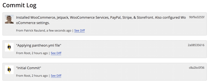 Pantheon dashboard commit log