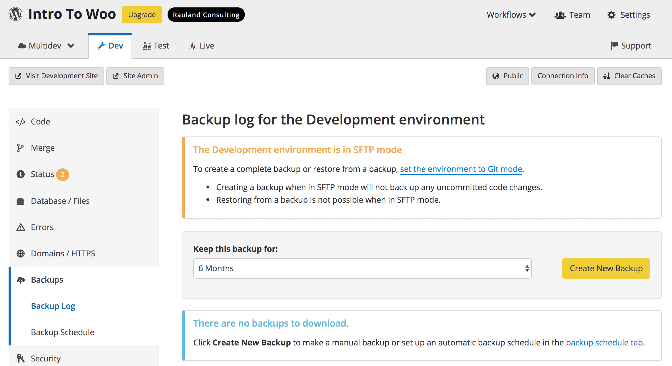 Creating a backup on the Pantheon dashboard