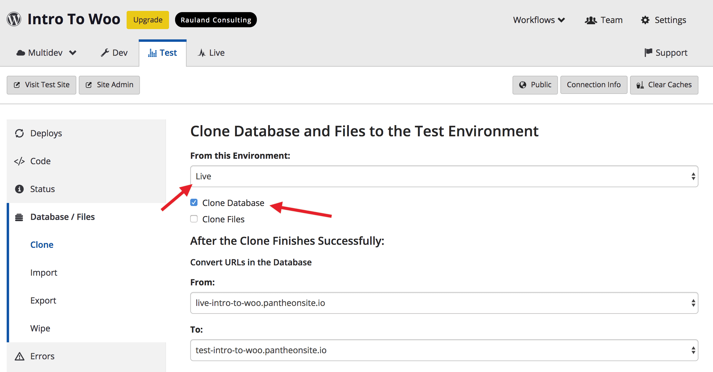 Cloning database and files on the Pantheon dashboard