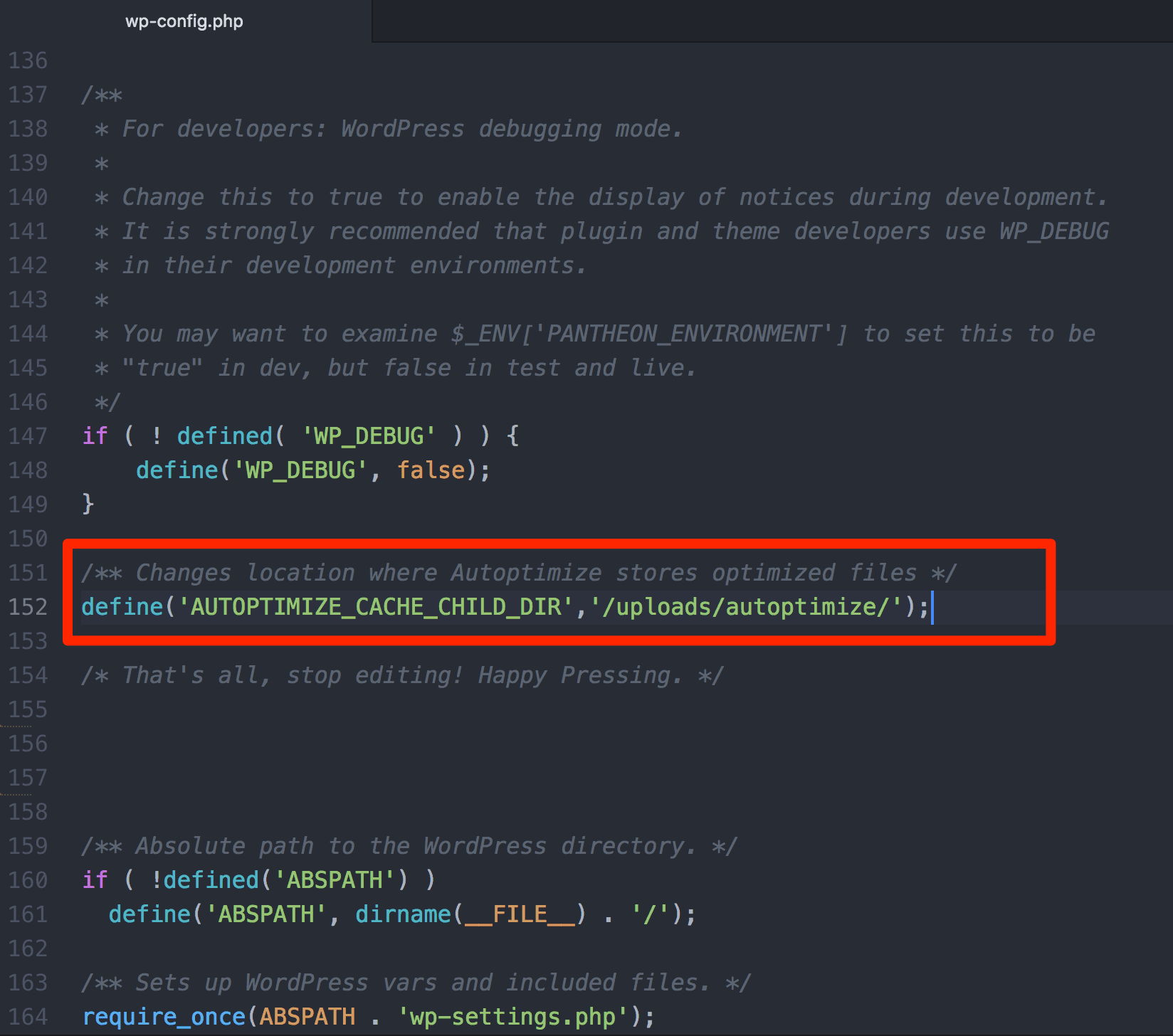Example of Autoptimize configuration above the stop editing comment