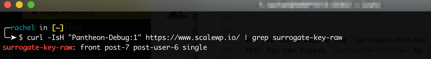 curl -IsH "Pantheon-Debug:1" https://www.scalewp.io/ | grep surrogate-key-raw