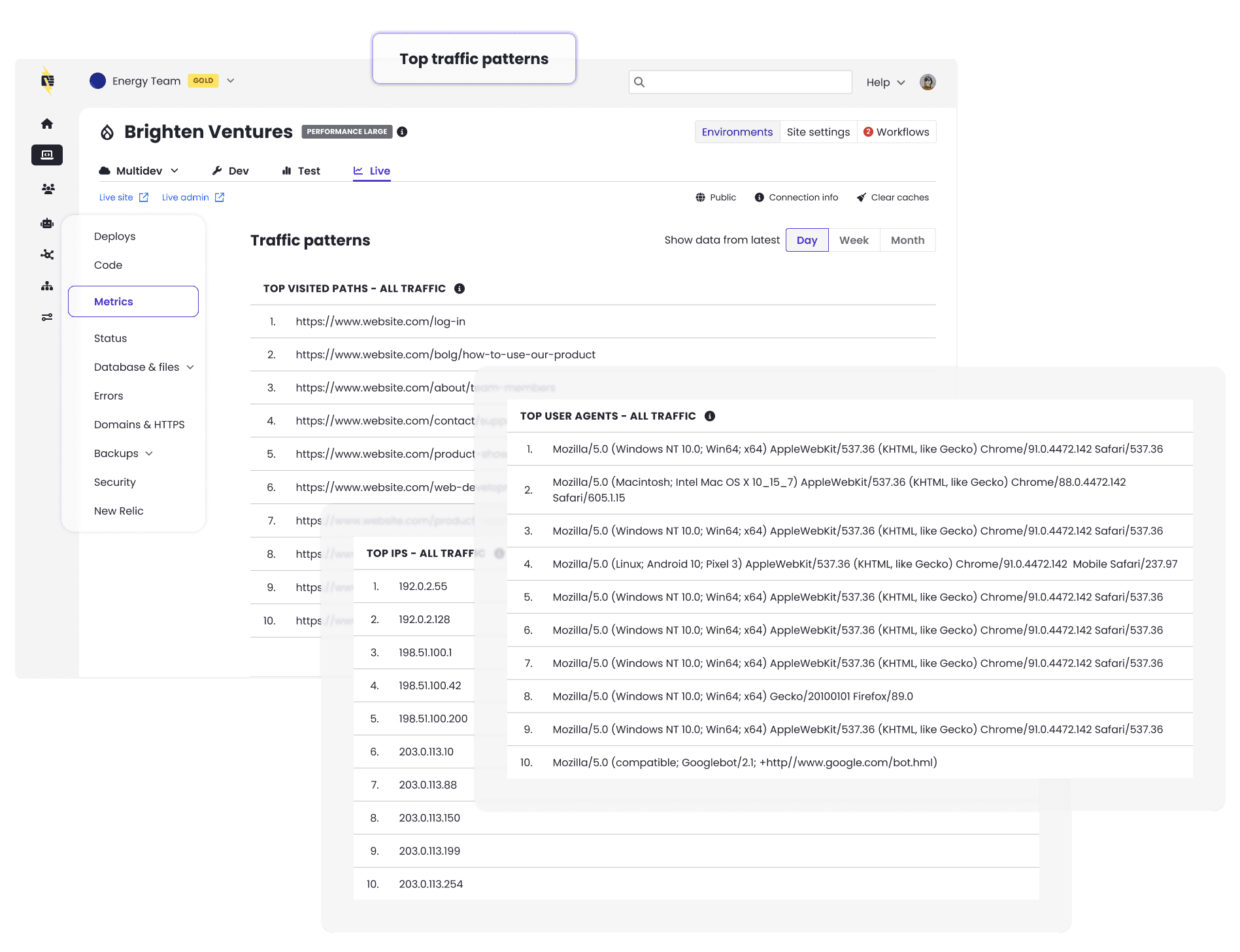 metrics page showing tables with top ips, user agents, and visited paths