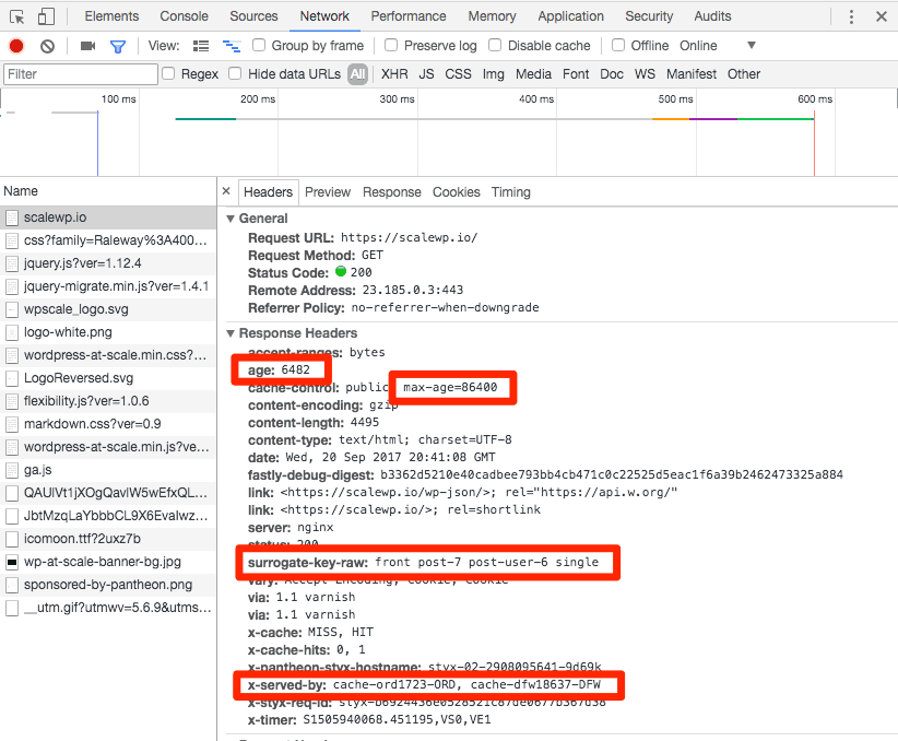 Chrome network headers