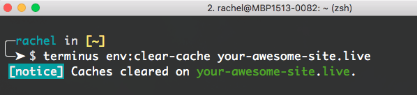 terminus env:clear-cache your-awesome-site.live