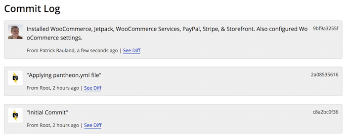 Pantheon dashboard commit log