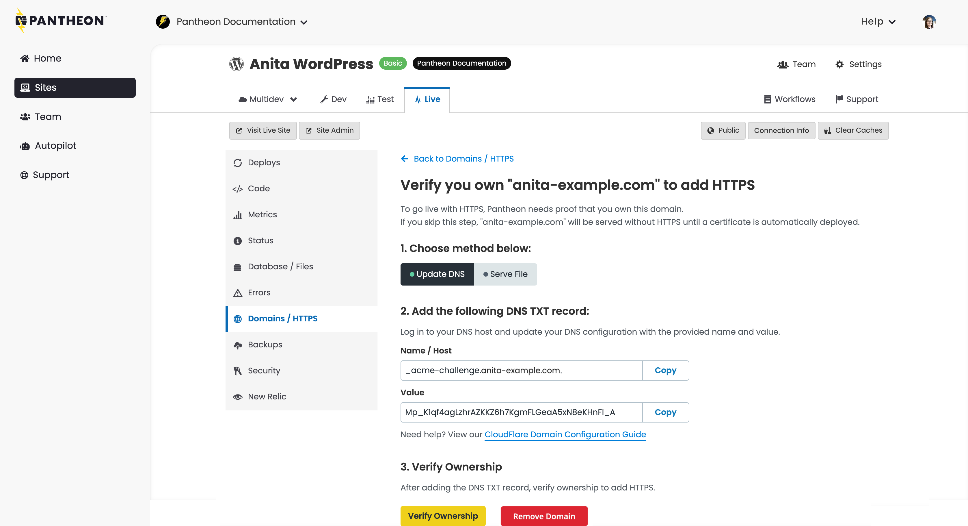 Verify domain ownership for HTTPS by DNS or by uploading a file to an existing site
