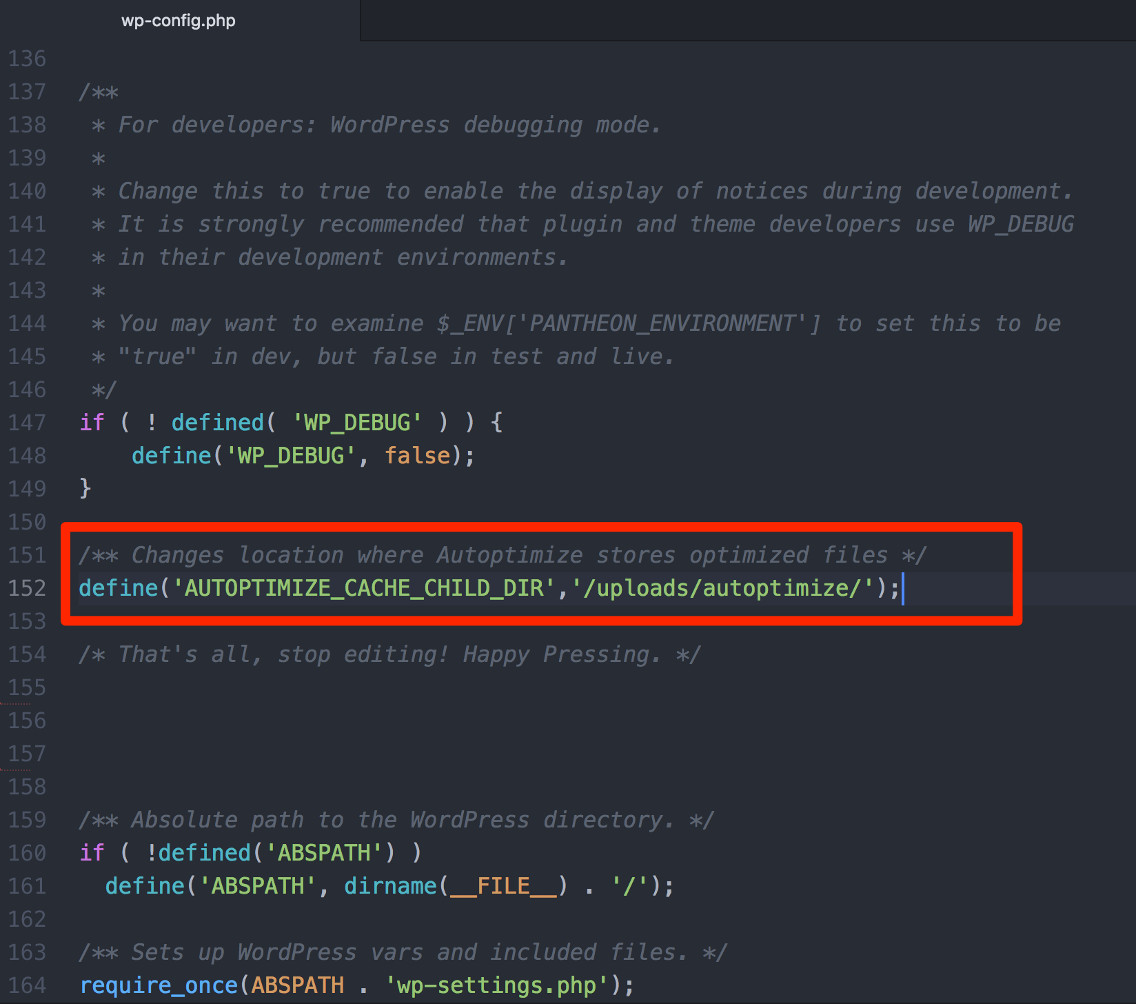 Example of Autoptimize configuration above the stop editing comment