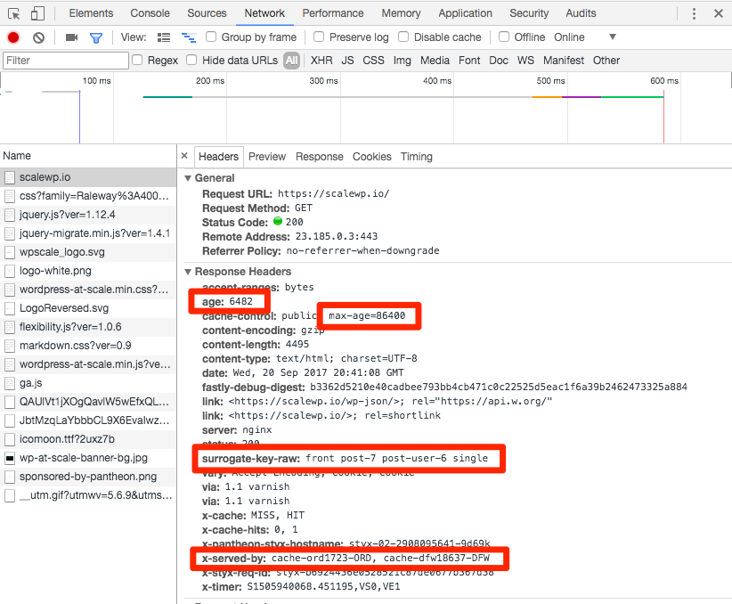 Chrome network headers