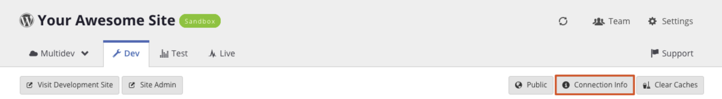 Connection info dev dashboard