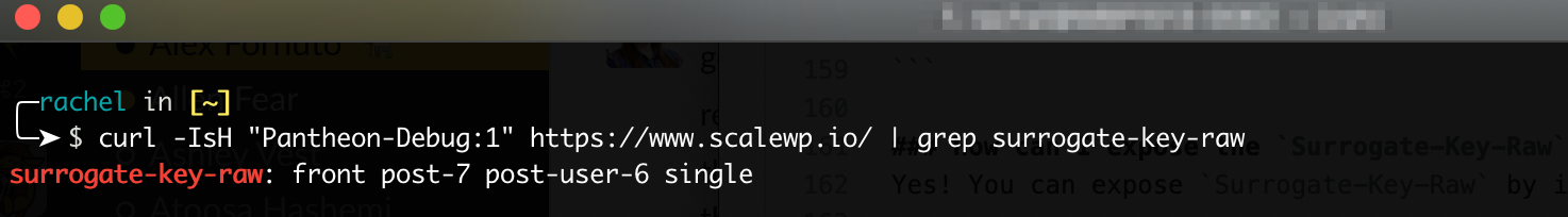 curl -IsH "Pantheon-Debug:1" https://www.scalewp.io/ | grep surrogate-key-raw