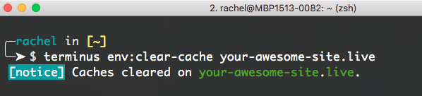 terminus env:clear-cache your-awesome-site.live
