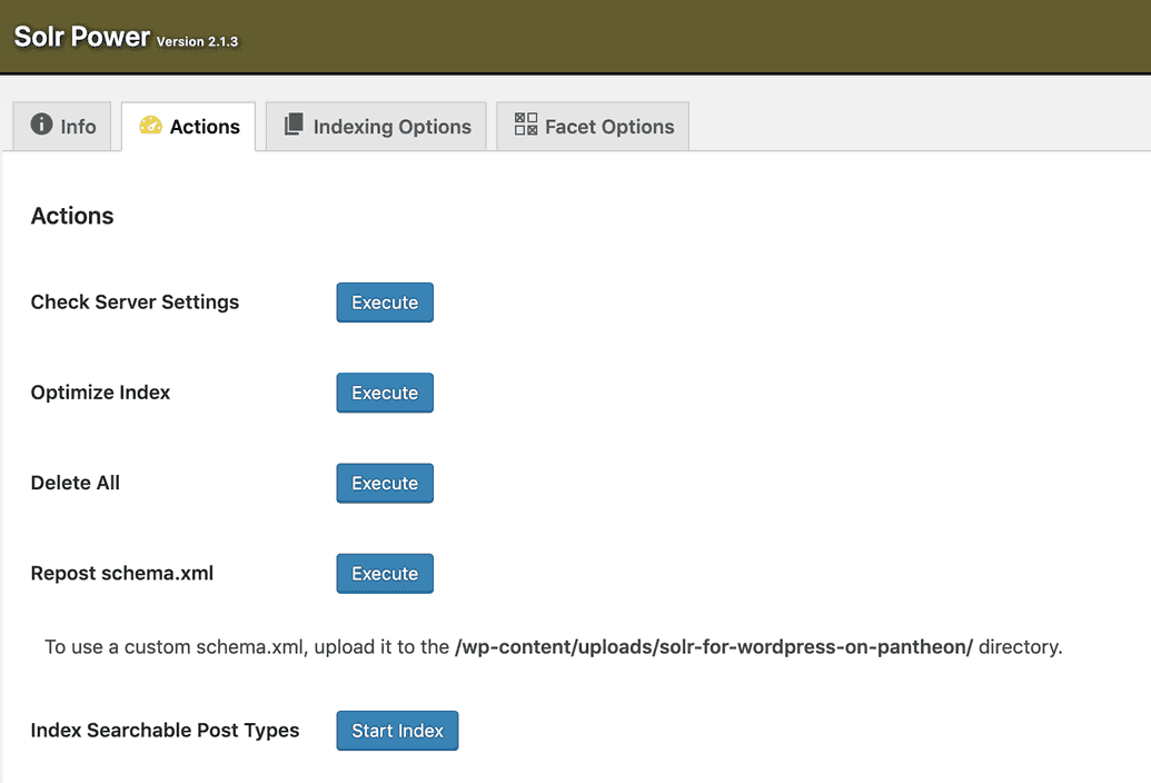 WordPress Solr Power indexing