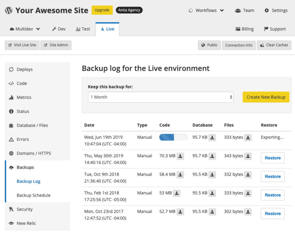 Create site backup Pantheon Dashboard