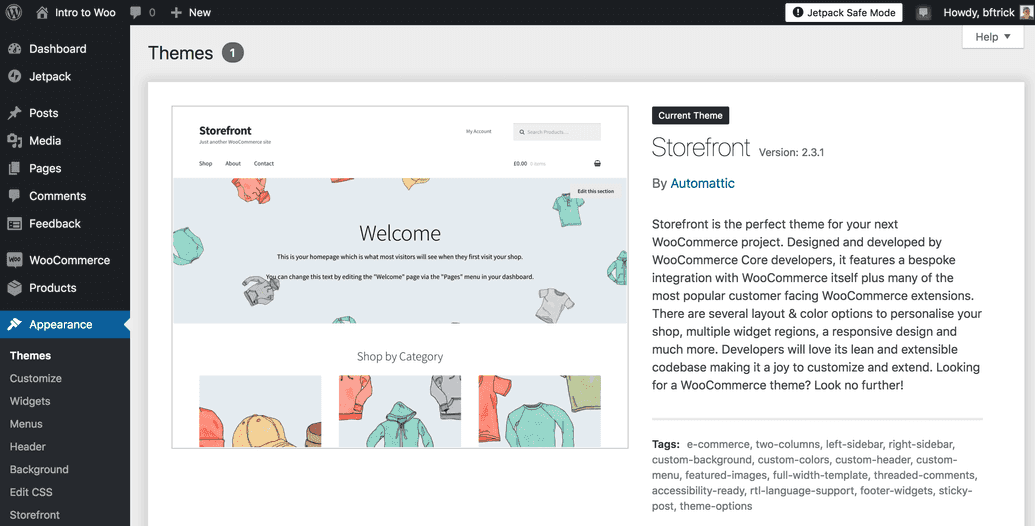 The WordPress dashboard showing only a single theme installed