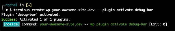 terminus remote:wp your-awesome-site.dev --plugin activate debug-bar