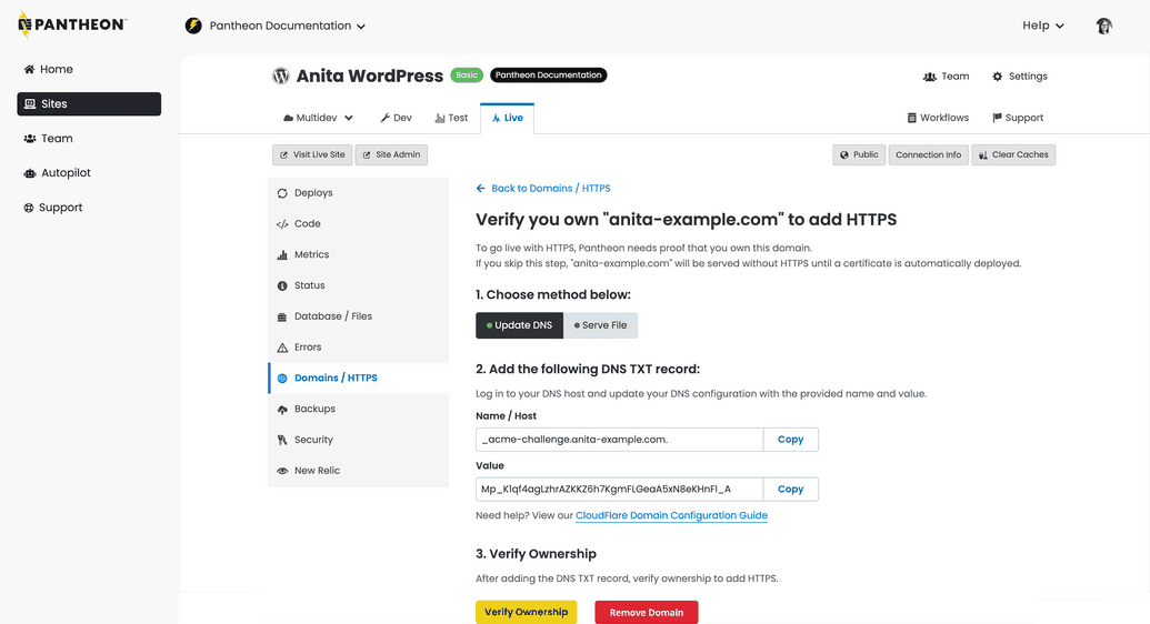 Domain validation prompt