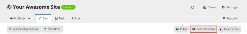 Connection info dev dashboard