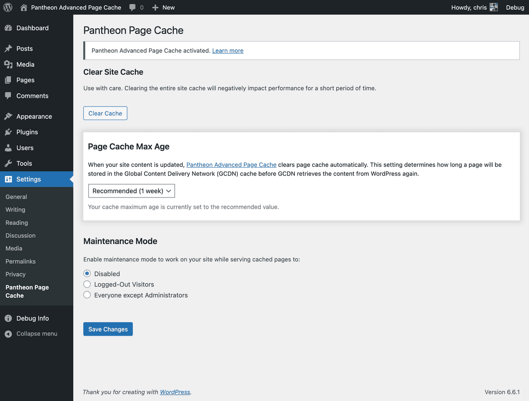 WordPress Pantheon Cache settings