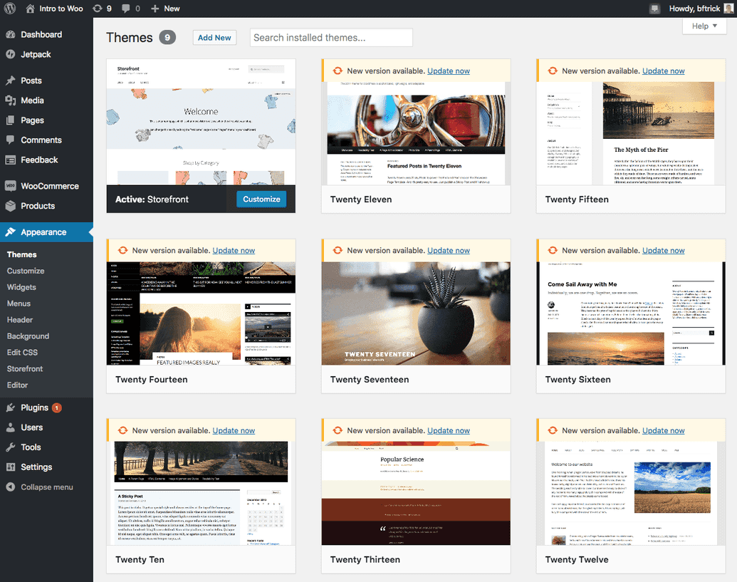 WordPress dashboard theme screen
