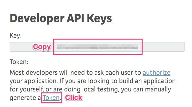 Copy developer api key